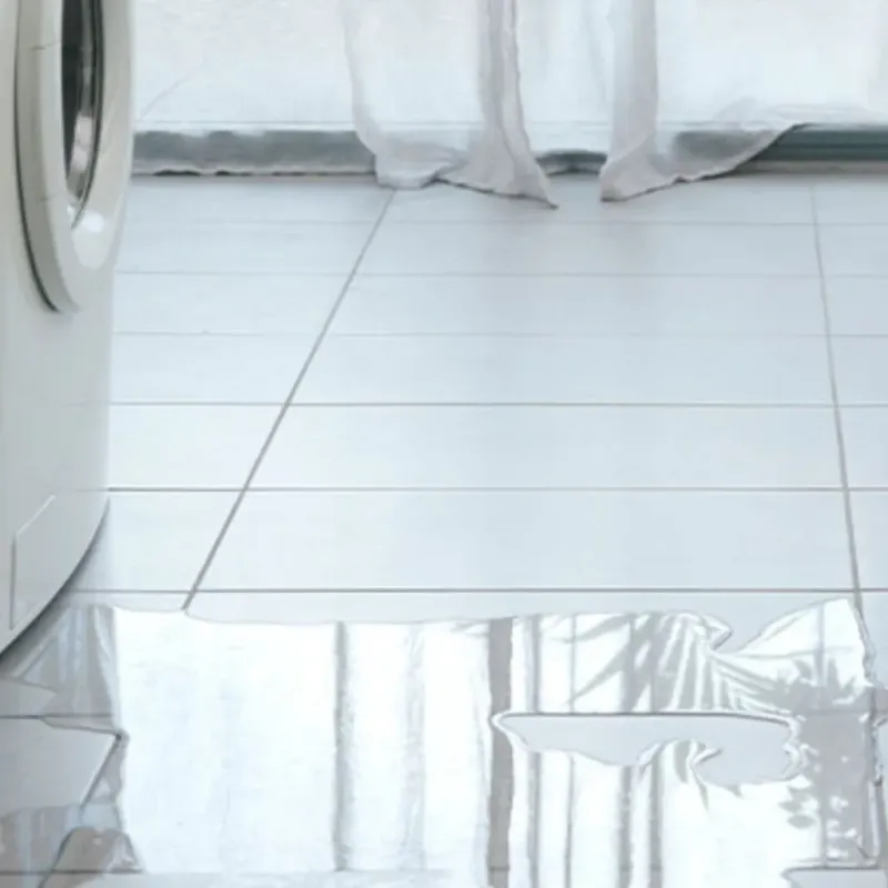 Appliance Leak Cleanup in Winfield, AL