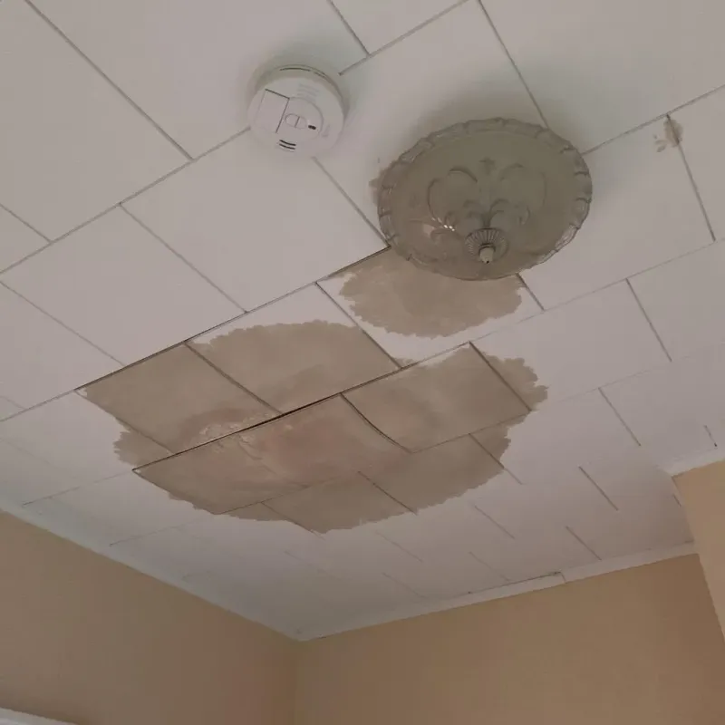 Ceiling Water Damage Repair in Winfield, AL