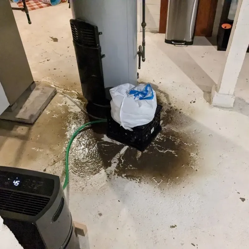 Sewage Backup Cleanup Service in Winfield, AL